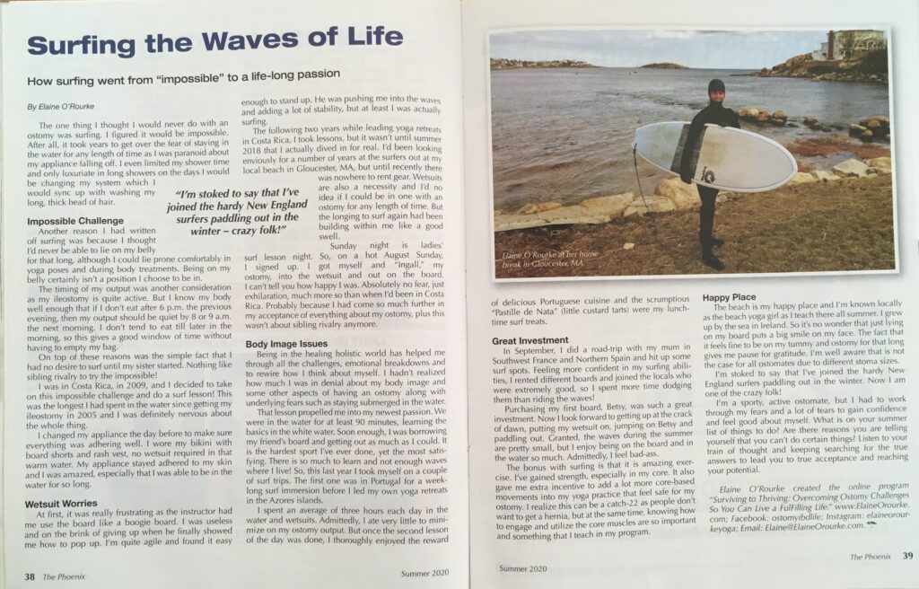 Surfing the waves of Life article